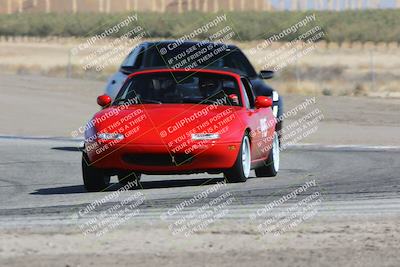 media/Oct-21-2023-Speed Ventures (Sat) [[ddf75163c5]]/Purple Group/Grapvine/